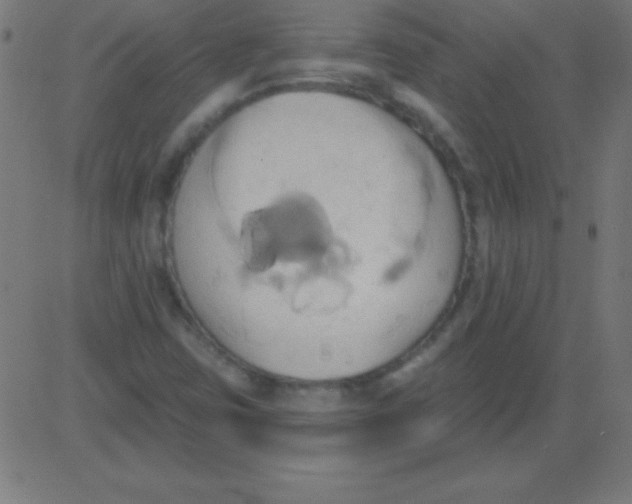 X0000081301403200702012257