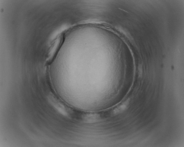 X0000081301406200702012258