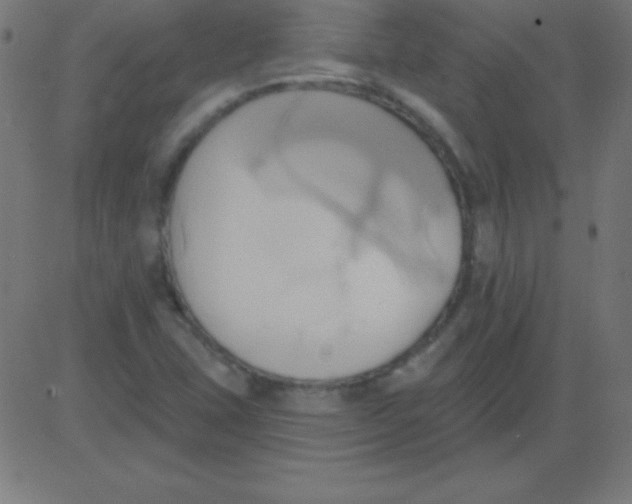 X0000081301407200702012258