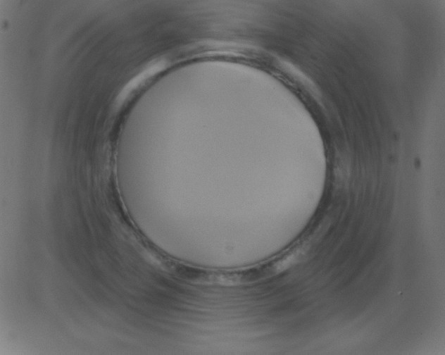 X0000081301411200702012258