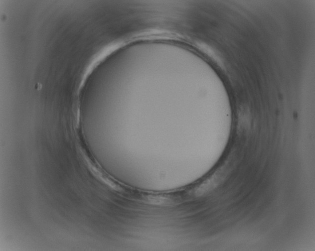 X0000081301413200702012258