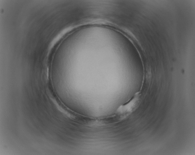 X0000081301414200702012258