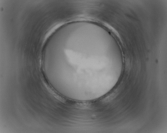 X0000081301415200702012258