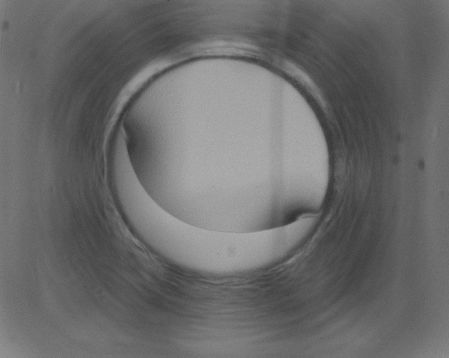 X0000081301419200702012258