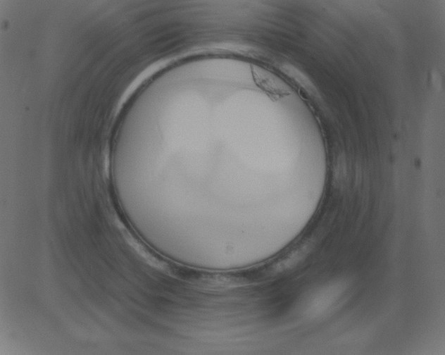 X0000081301420200702012258