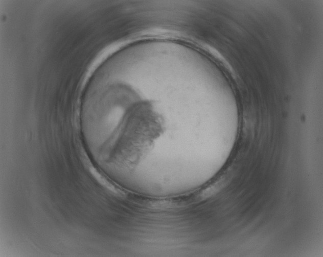 X0000081301421200702012258