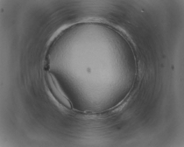 X0000081301422200702012258