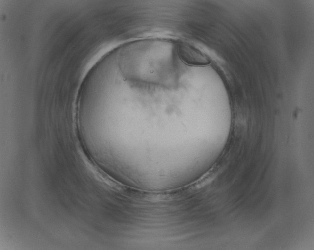 X0000081301423200702012258