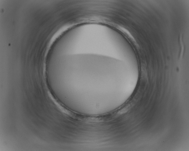 X0000081301424200702012258