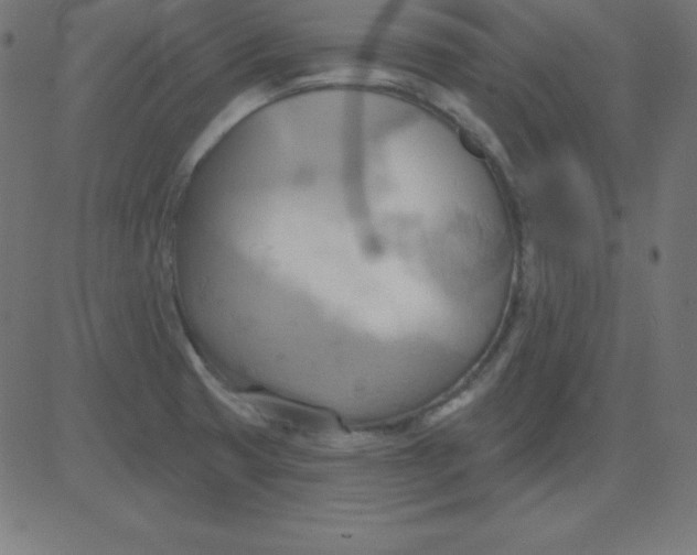 X0000081301425200702012258