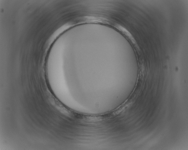 X0000081301427200702012258