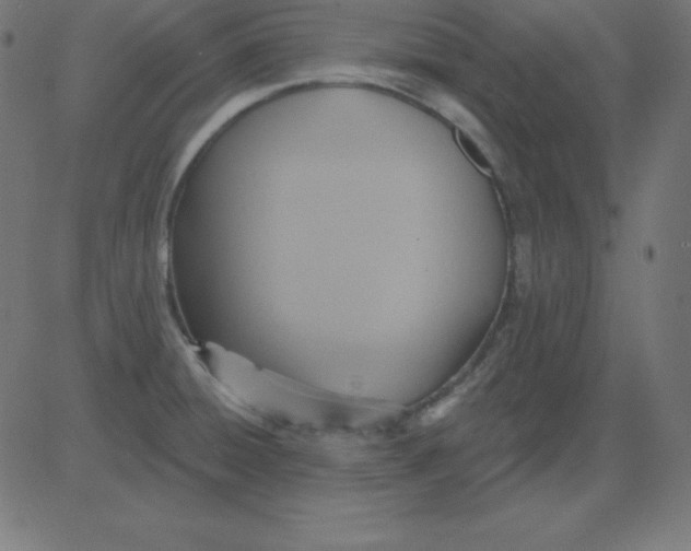 X0000081301428200702012258