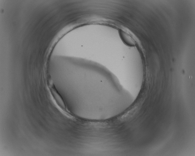 X0000081301429200702012258