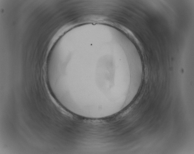 X0000081301432200702012258