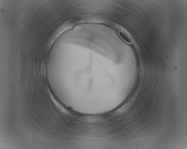 X0000081301433200702012258