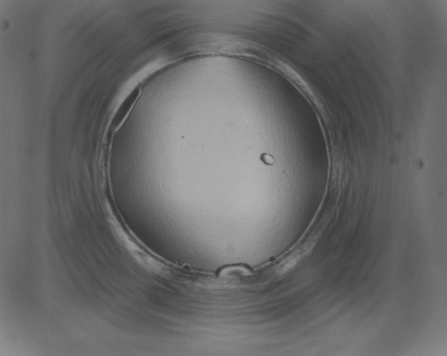 X0000081301434200702012258