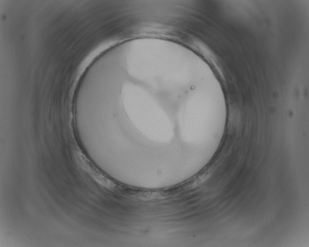 X0000081301435200702012258