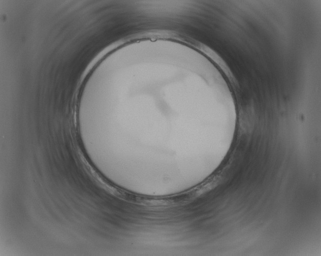 X0000081301436200702012258