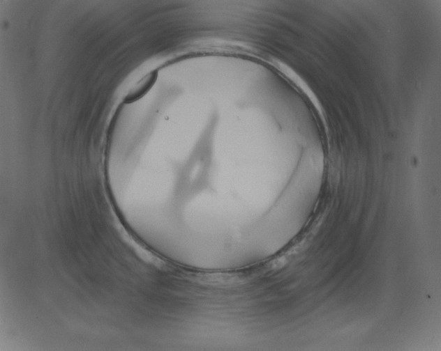 X0000081301437200702012258