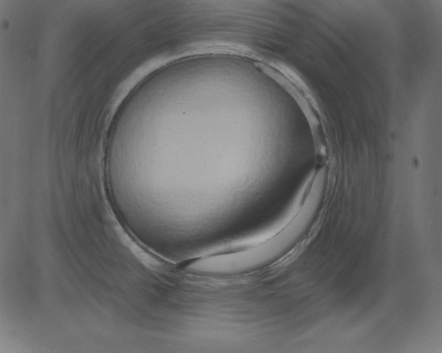 X0000081301438200702012258