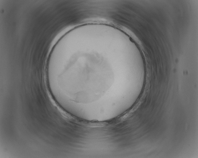 X0000081301440200702012258