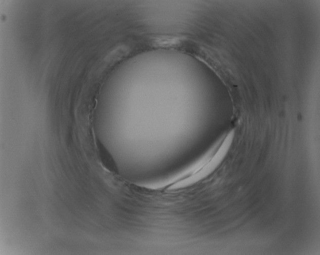 X0000081301441200702012257