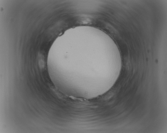 X0000081301442200702012257