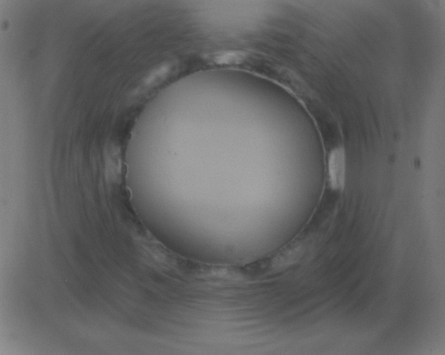 X0000081301443200702012257