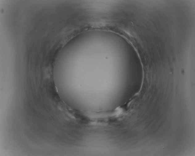 X0000081301445200702012257