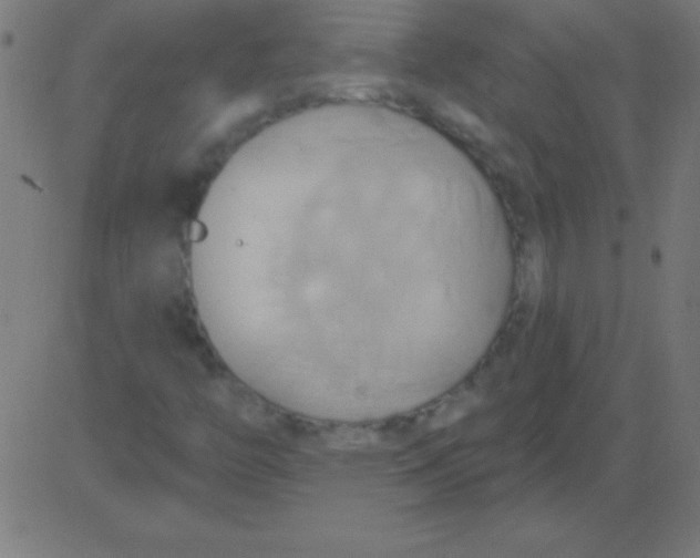 X0000081301446200702012257