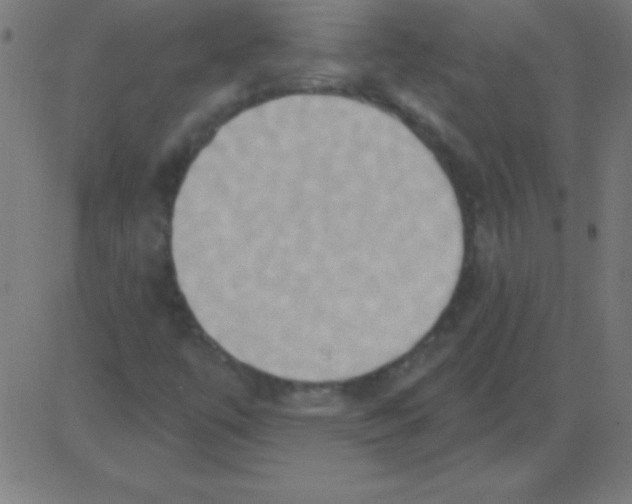 X0000081301447200702012257