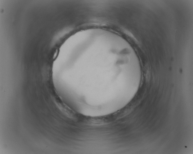 X0000081301448200702012257