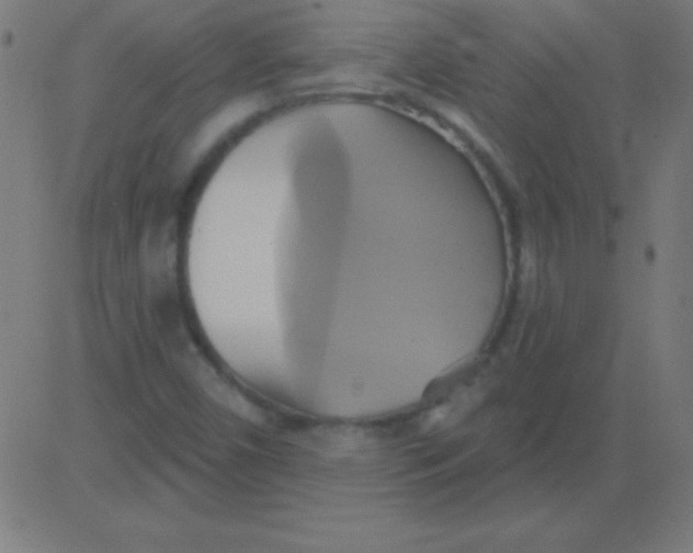 X0000081301450200702012257