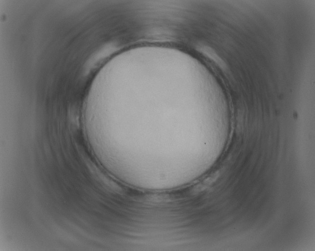 X0000081301451200702012257