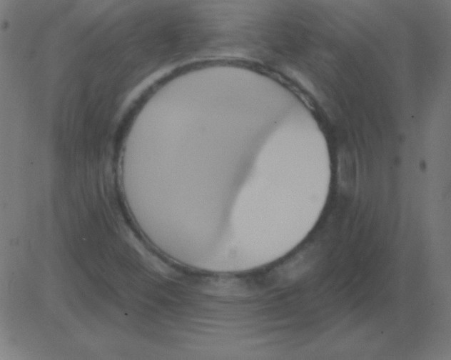 X0000081301452200702012257