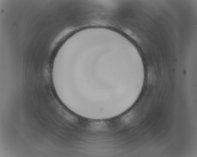 X0000081301454200702012257