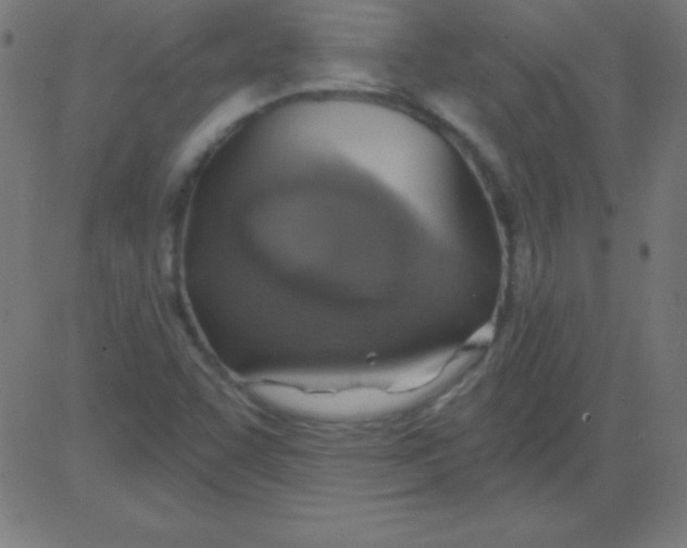 X0000081301455200702012257