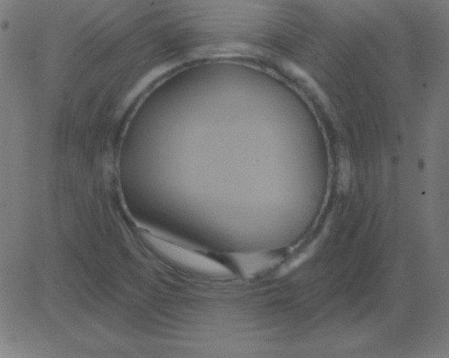 X0000081301457200702012257