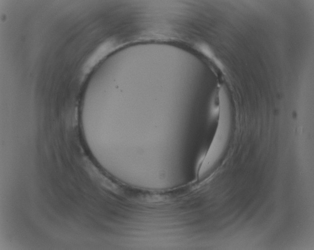 X0000081301459200702012257