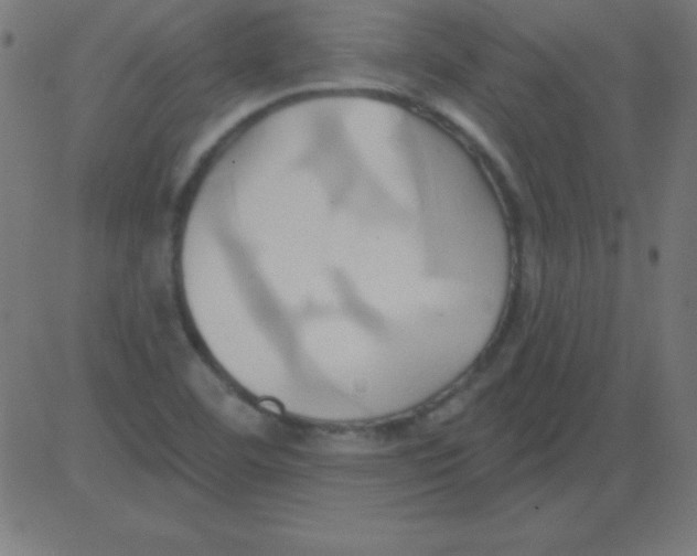 X0000081301460200702012257