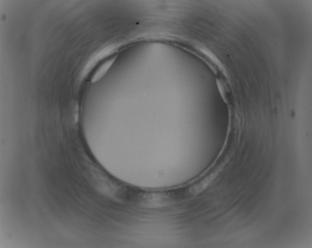 X0000081301461200702012257