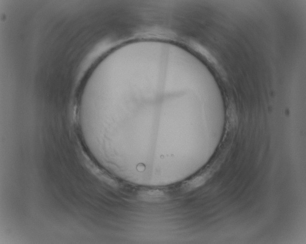 X0000081301462200702012257