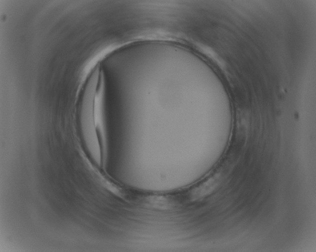 X0000081301463200702012257