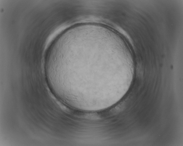 X0000081301464200702012257