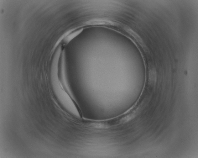 X0000081301465200702012257