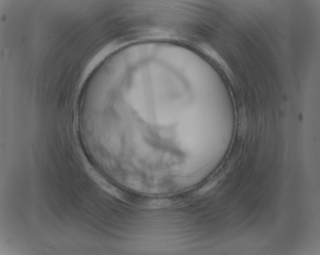 X0000081301467200702012257