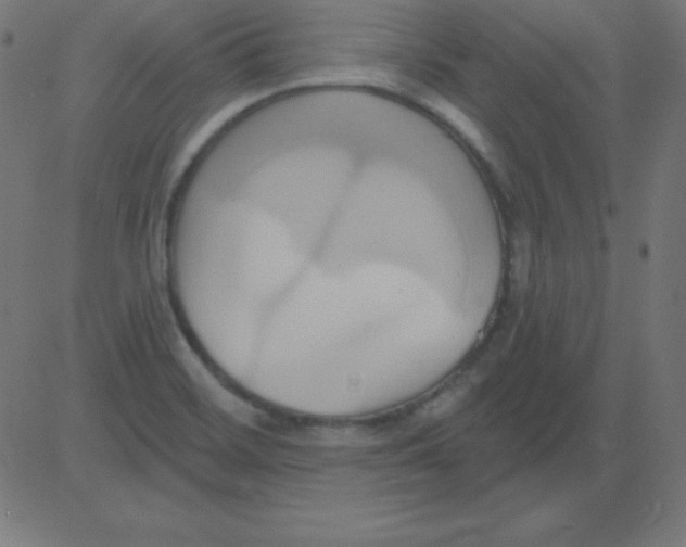 X0000081301468200702012257