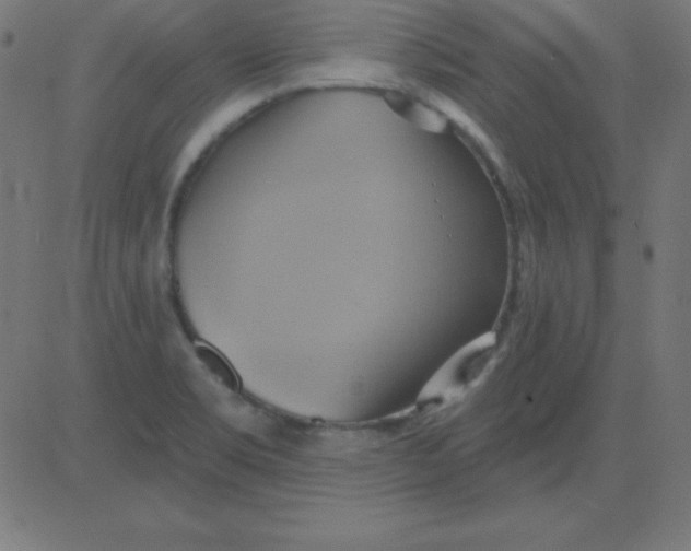 X0000081301469200702012257