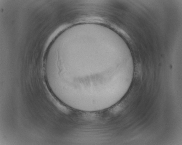 X0000081301470200702012257