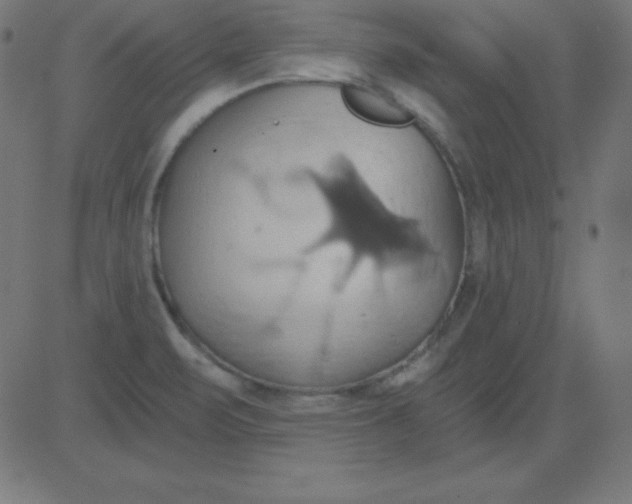 X0000081301471200702012257